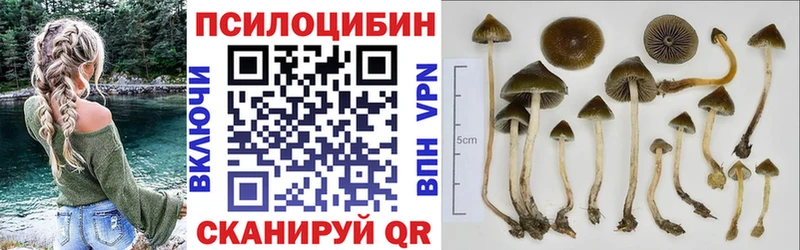дарк нет какой сайт  Болгар  Псилоцибиновые грибы мухоморы 
